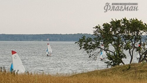20190804_180348_r